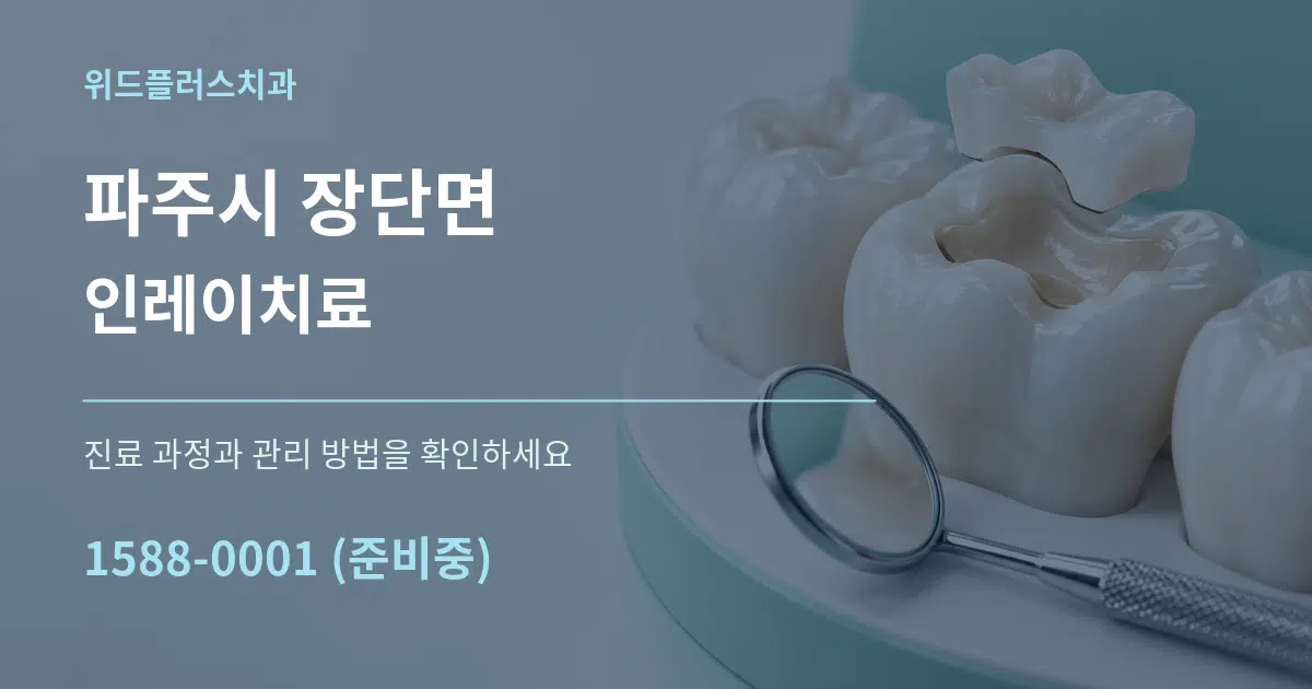 파주시 장단면 인레이치료 서비스 이용 안내 그래픽