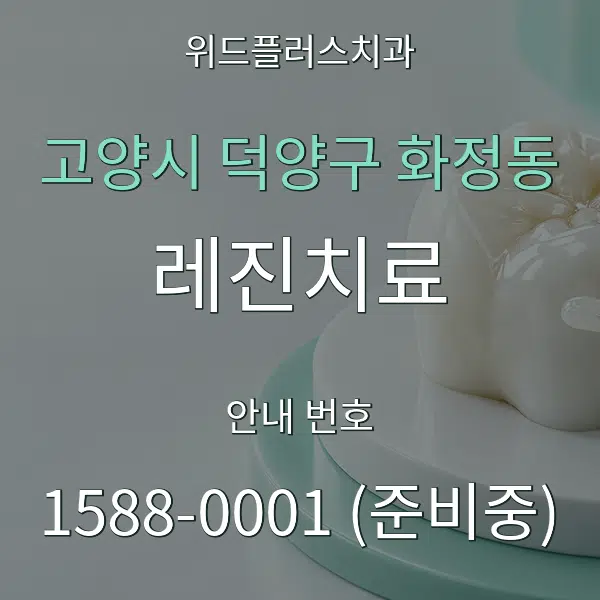 고양시 덕양구 화정동 레진치료 대표 안내 그래픽