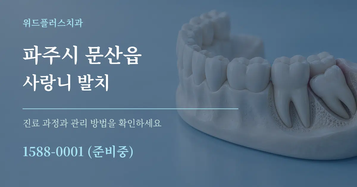 파주시 문산읍 사랑니 발치 작업 조건 안내 그래픽