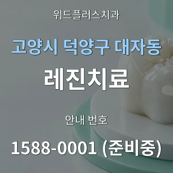 고양시 덕양구 대자동 레진치료 대표 안내 그래픽