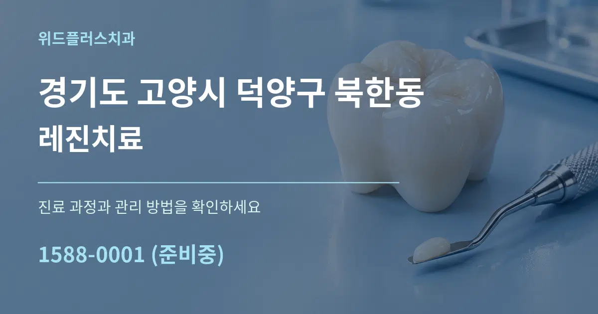 경기도 고양시 덕양구 북한동 레진치료 서비스 이용 안내 그래픽