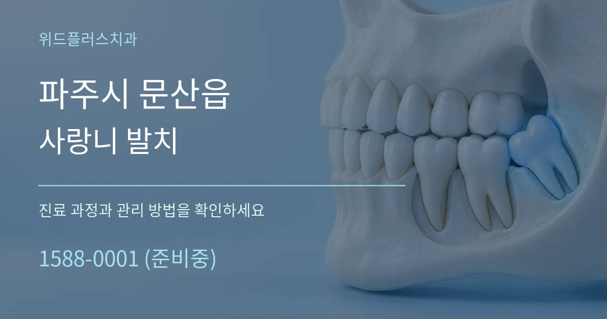 파주시 문산읍 사랑니 발치 서비스 이용 안내 그래픽
