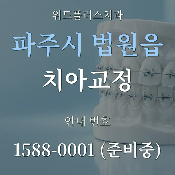 파주시 법원읍 치아교정 대표 안내 그래픽