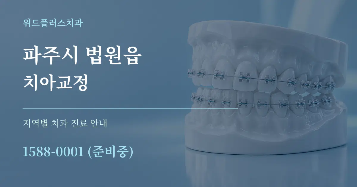 파주시 법원읍 치아교정 대표 안내 그래픽