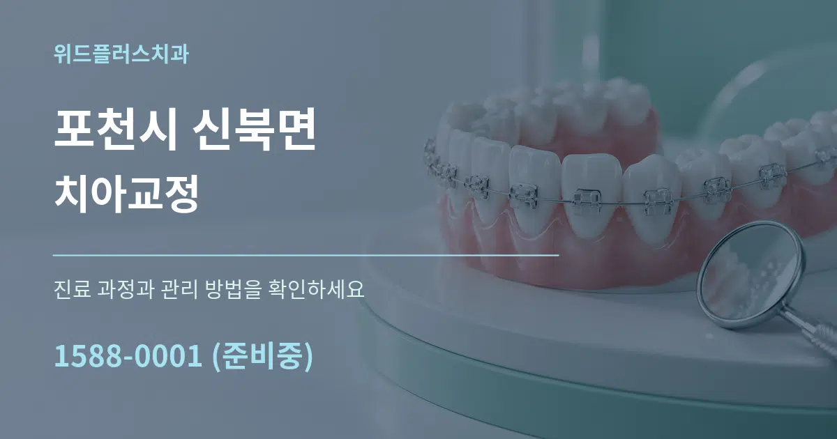 포천시 신북면 치아교정 서비스 이용 안내 그래픽
