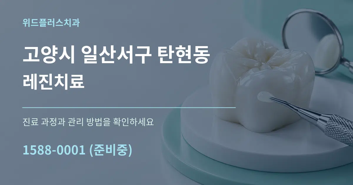 고양시 일산서구 탄현동 레진치료 서비스 이용 안내 그래픽