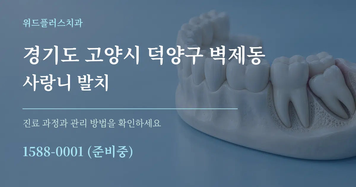 경기도 고양시 덕양구 벽제동 사랑니 발치 작업 조건 안내 그래픽