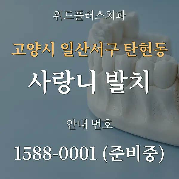 고양시 일산서구 탄현동 사랑니 발치 대표 안내 그래픽