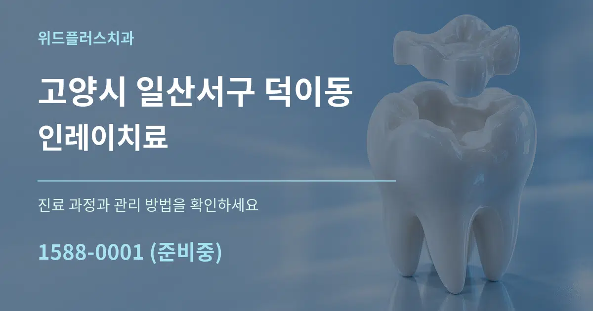 고양시 일산서구 덕이동 인레이치료 서비스 이용 안내 그래픽