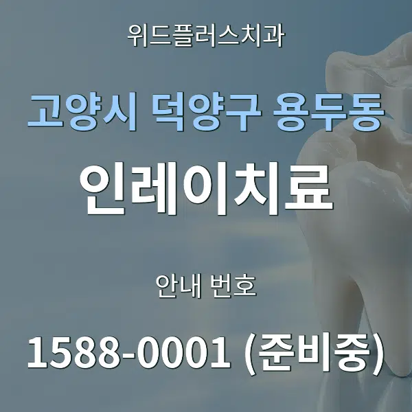 고양시 덕양구 용두동 인레이치료 대표 안내 그래픽