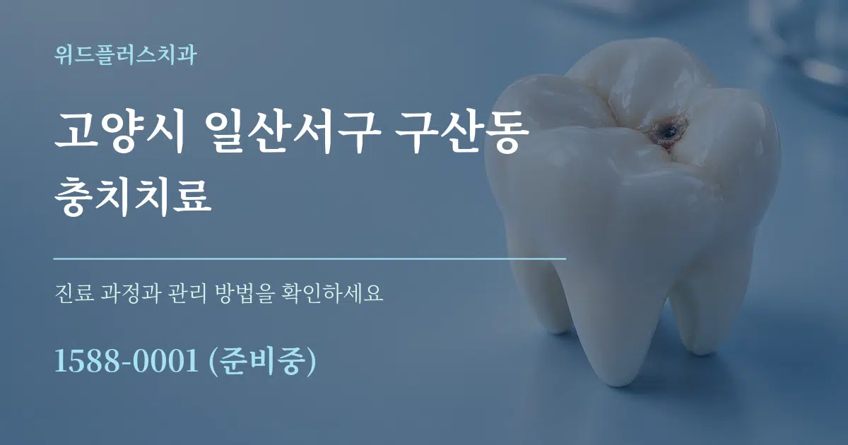 고양시 일산서구 구산동 충치치료 서비스 이용 안내 그래픽