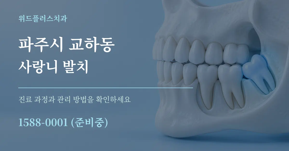 파주시 교하동 사랑니 발치 작업 조건 안내 그래픽