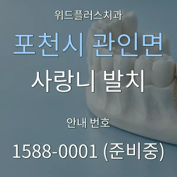포천시 관인면 사랑니 발치 대표 안내 그래픽