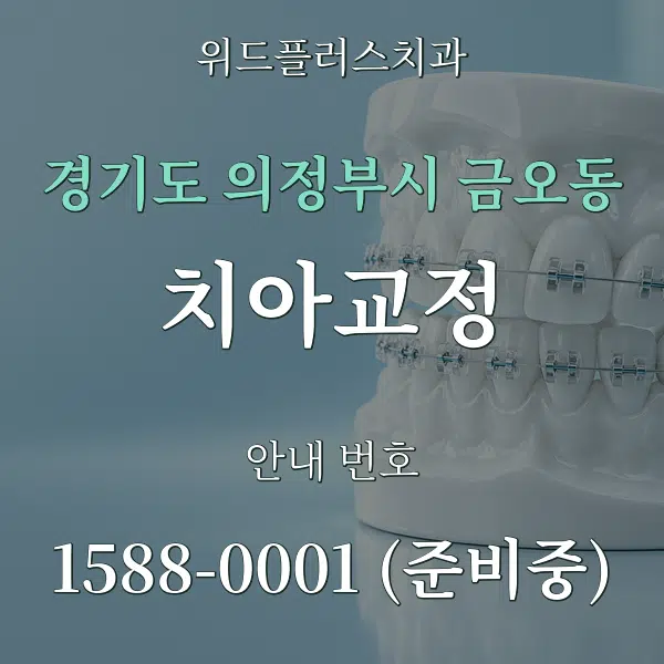 경기도 의정부시 금오동 치아교정 대표 안내 그래픽