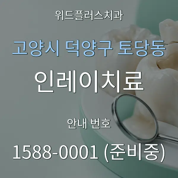 고양시 덕양구 토당동 인레이치료 대표 안내 그래픽