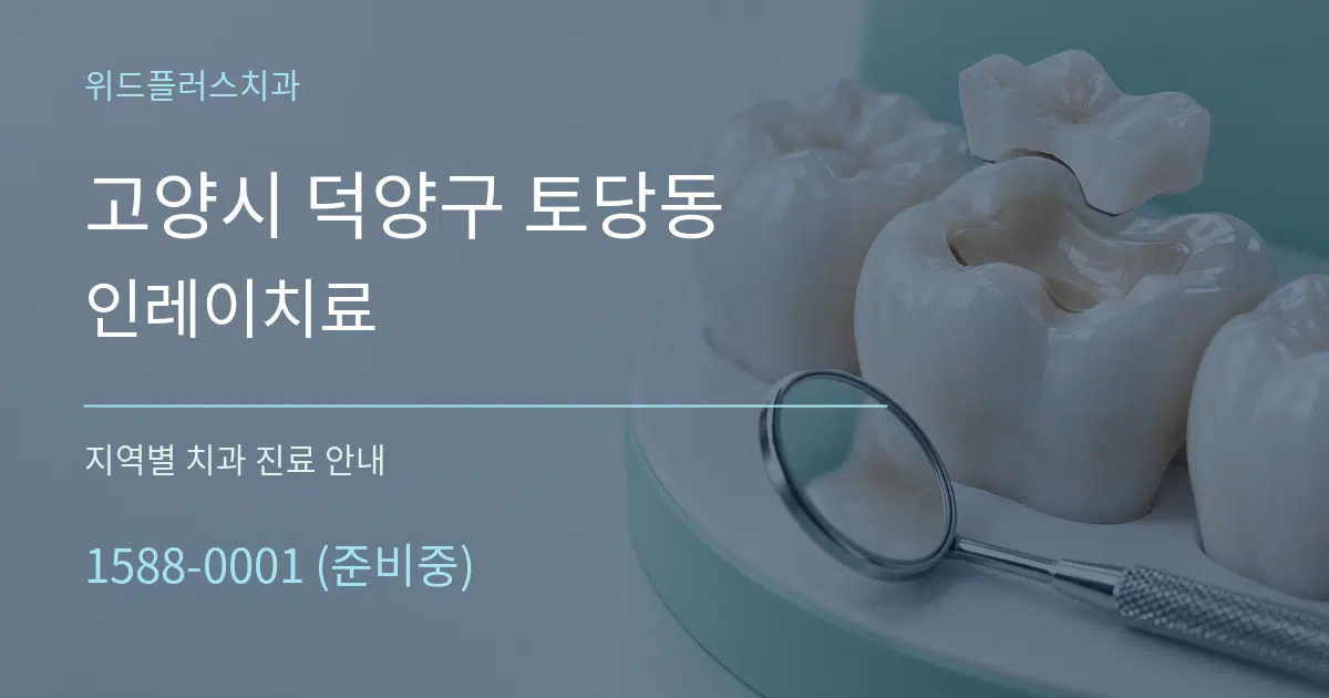 고양시 덕양구 토당동 인레이치료 대표 안내 그래픽