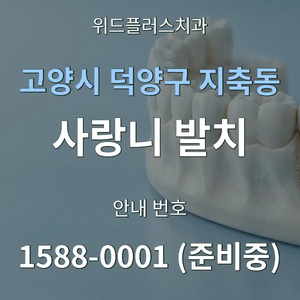 고양시 덕양구 지축동 사랑니 발치 대표 안내 그래픽