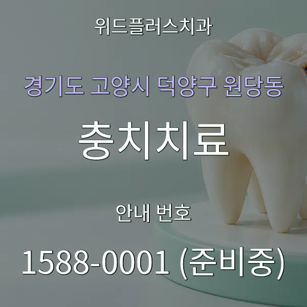 경기도 고양시 덕양구 원당동 충치치료 대표 안내 그래픽