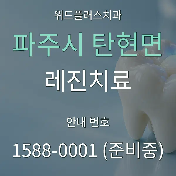 파주시 탄현면 레진치료 대표 안내 그래픽