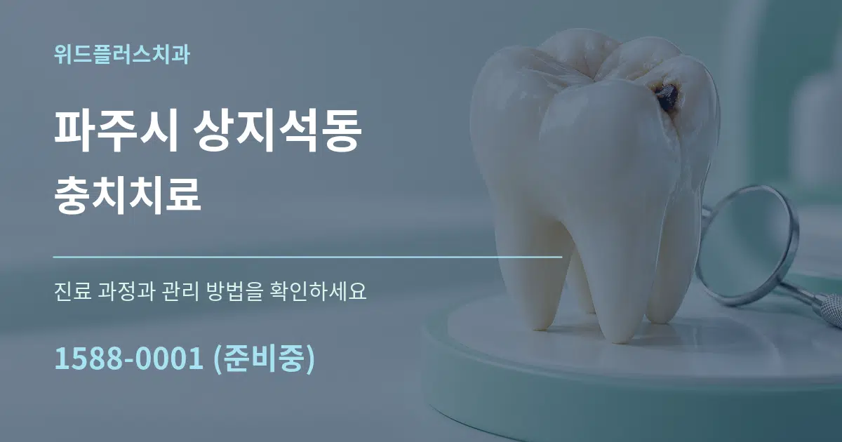 파주시 상지석동 충치치료 작업 조건 안내 그래픽