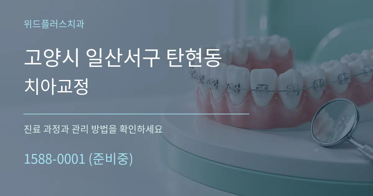 고양시 일산서구 탄현동 치아교정 서비스 이용 안내 그래픽
