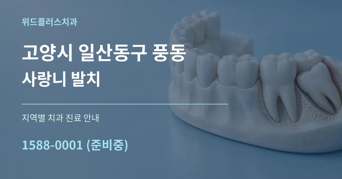 고양시 일산동구 풍동 사랑니 발치 대표 안내 그래픽