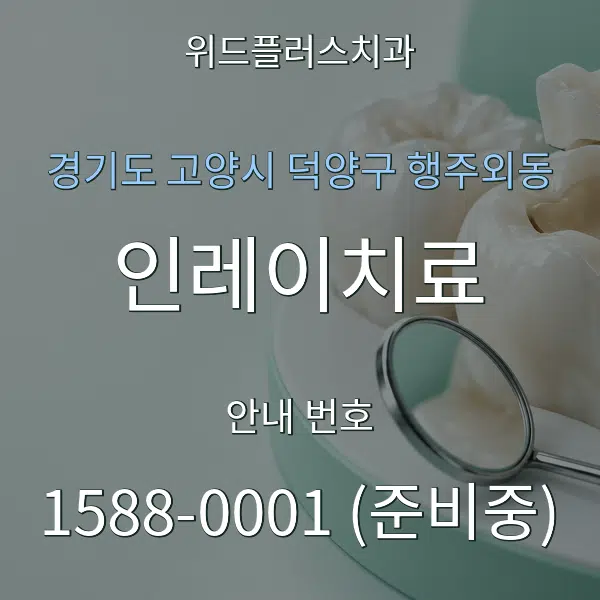 경기도 고양시 덕양구 행주외동 인레이치료 대표 안내 그래픽
