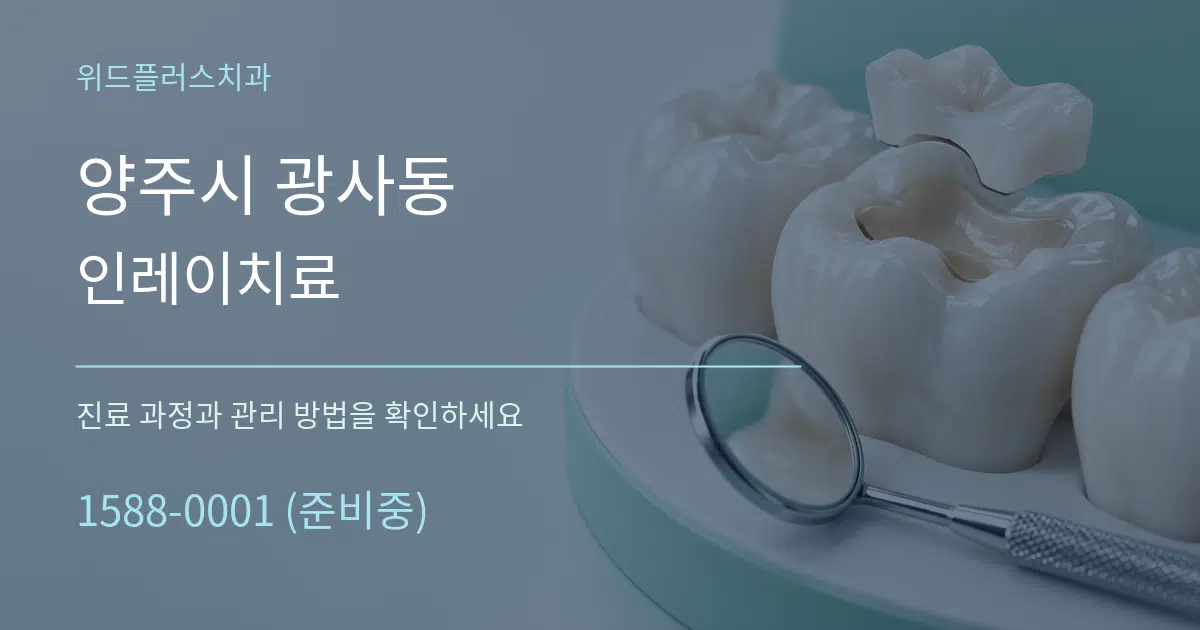 양주시 광사동 인레이치료 서비스 이용 안내 그래픽