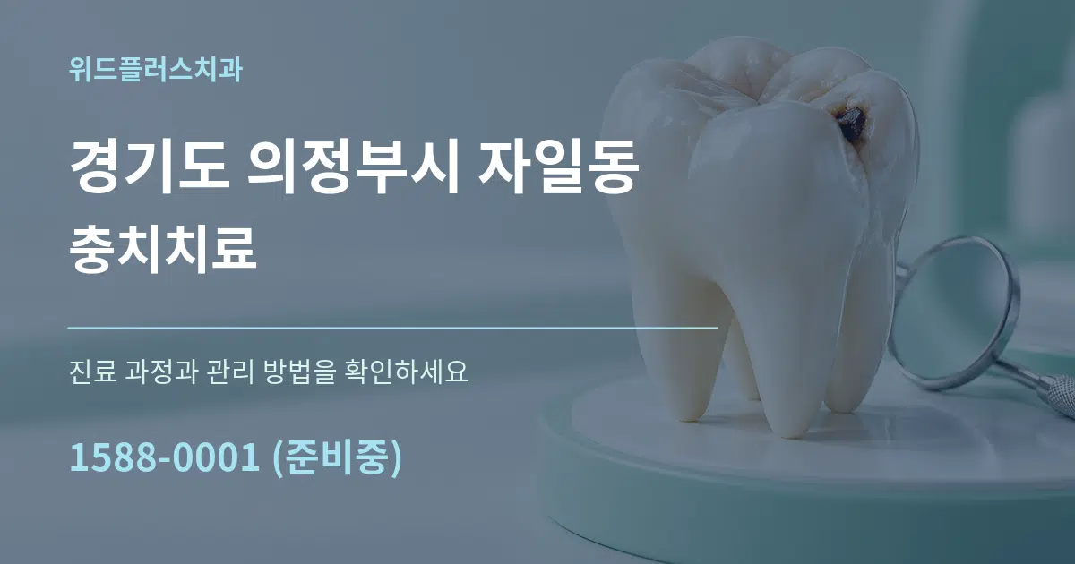 경기도 의정부시 자일동 충치치료 서비스 이용 안내 그래픽