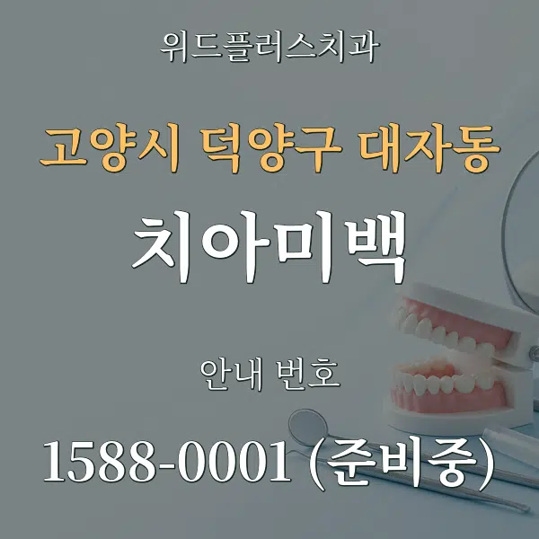 고양시 덕양구 대자동 치아미백 대표 안내 그래픽
