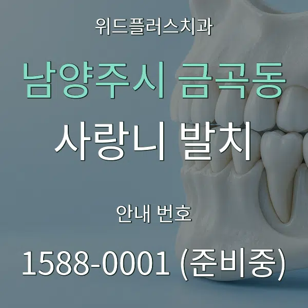 남양주시 금곡동 사랑니 발치 대표 안내 그래픽