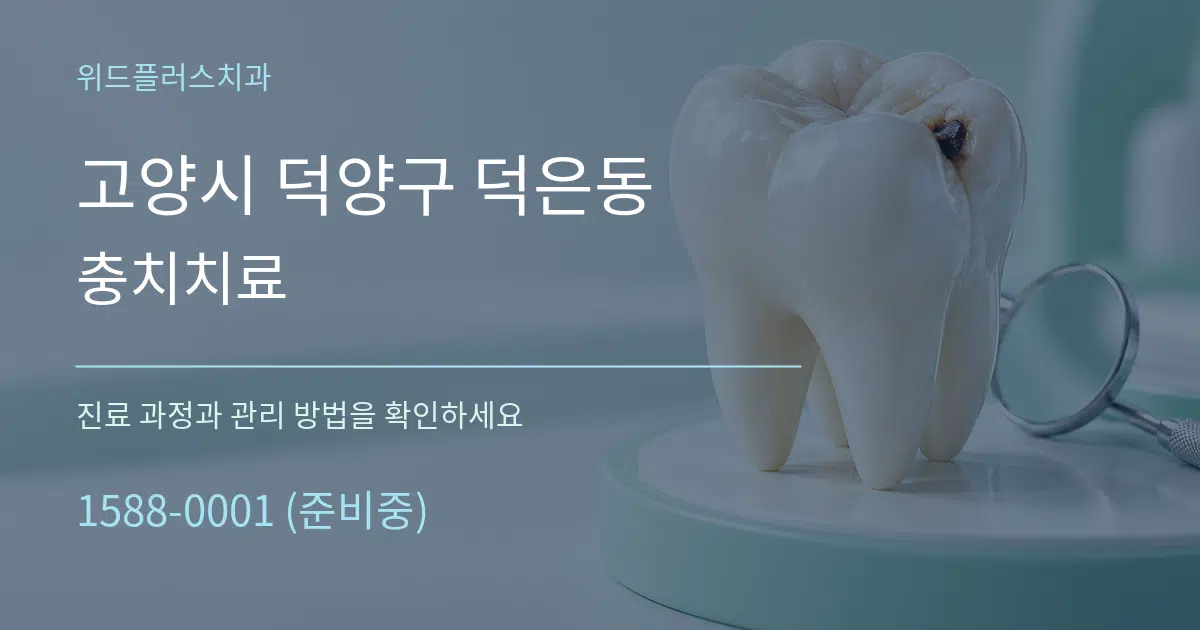 고양시 덕양구 덕은동 충치치료 작업 조건 안내 그래픽