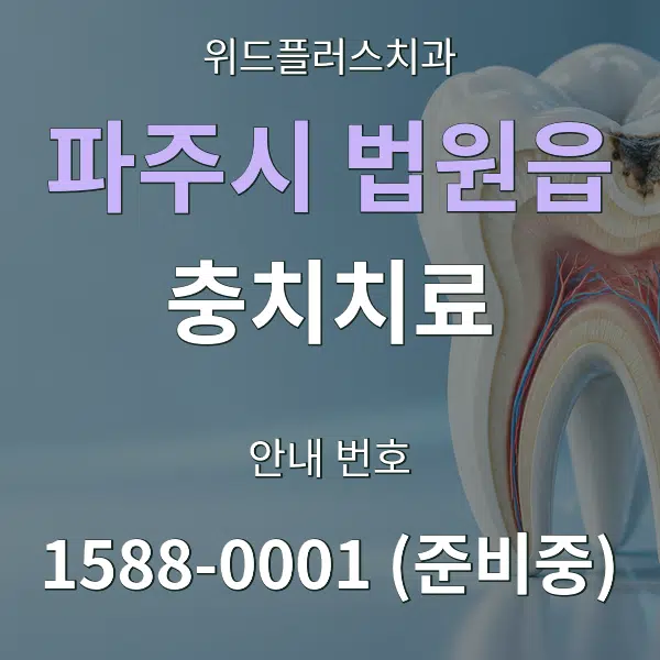 파주시 법원읍 충치치료 대표 안내 그래픽