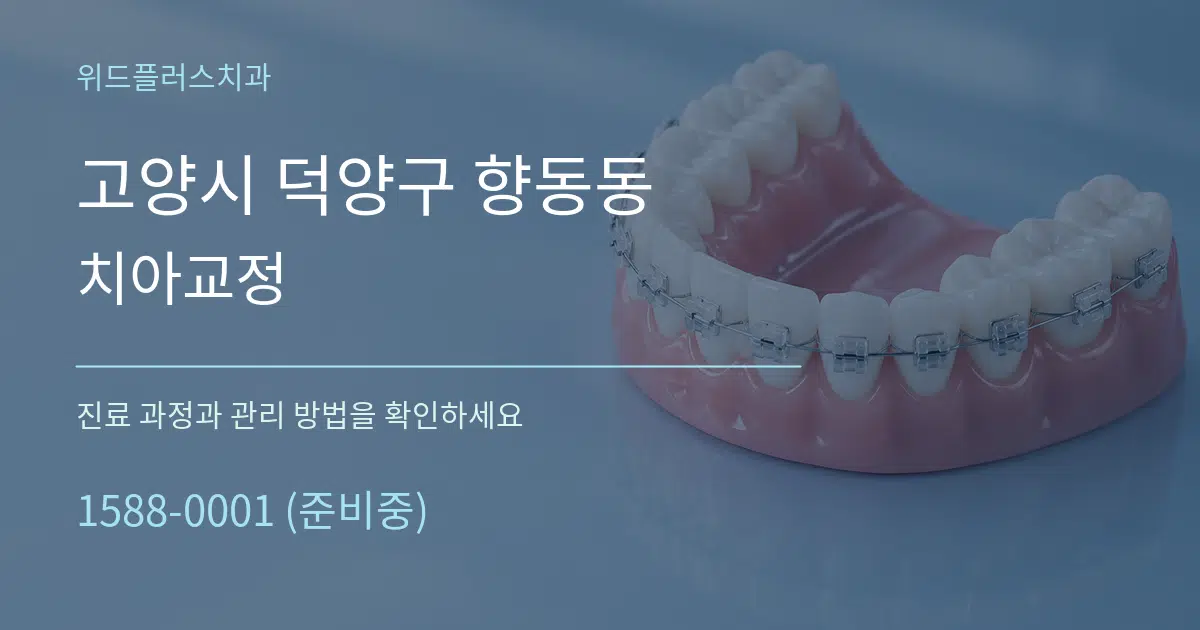 고양시 덕양구 향동동 치아교정 작업 조건 안내 그래픽