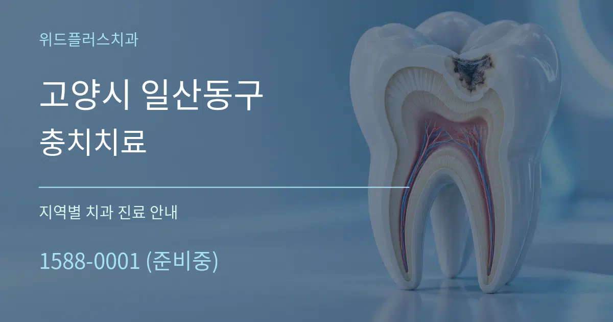 고양시 일산동구 충치치료 대표 안내 그래픽