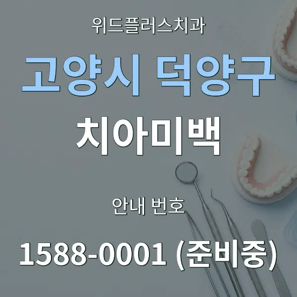 고양시 덕양구 치아미백 대표 안내 그래픽
