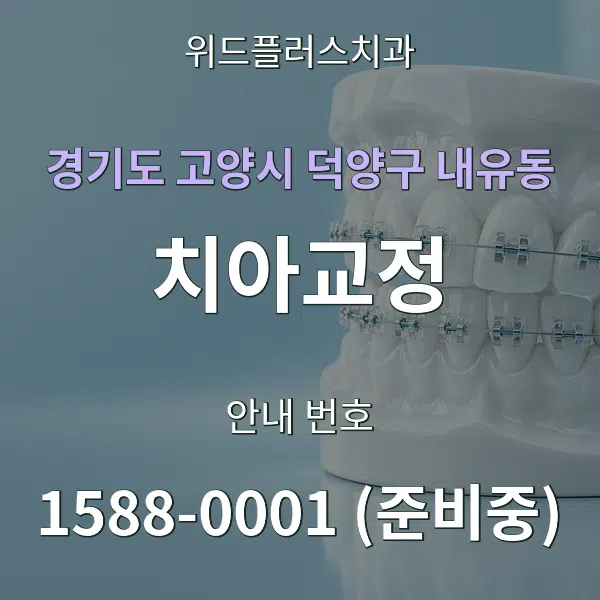 경기도 고양시 덕양구 내유동 치아교정 대표 안내 그래픽
