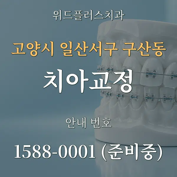 고양시 일산서구 구산동 치아교정 대표 안내 그래픽