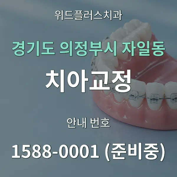 경기도 의정부시 자일동 치아교정 대표 안내 그래픽