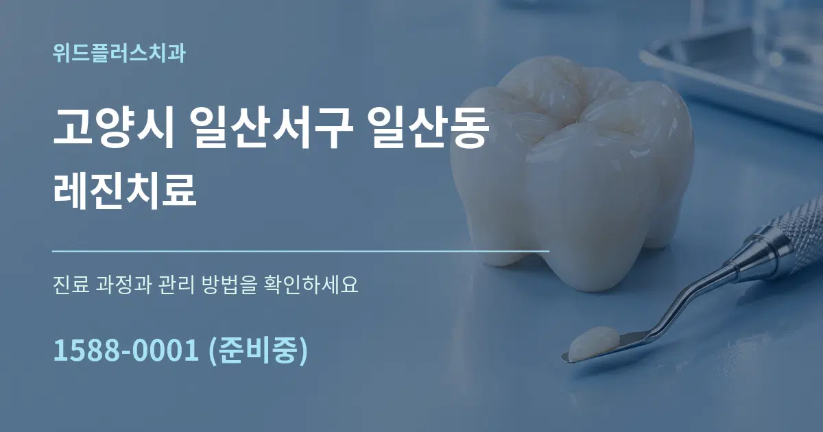 고양시 일산서구 일산동 레진치료 서비스 이용 안내 그래픽