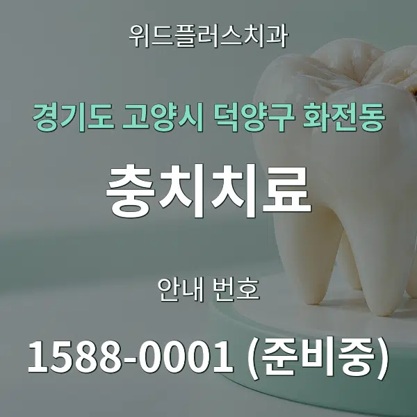 경기도 고양시 덕양구 화전동 충치치료 대표 안내 그래픽