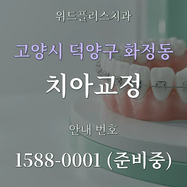고양시 덕양구 화정동 치아교정 대표 안내 그래픽