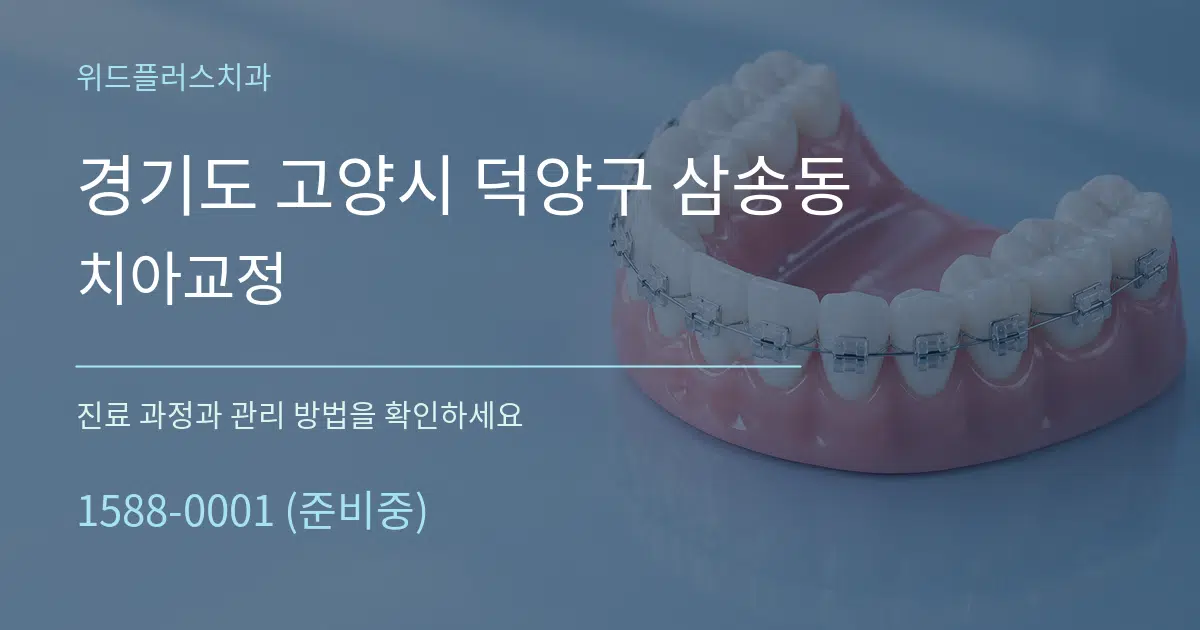 경기도 고양시 덕양구 삼송동 치아교정 작업 조건 안내 그래픽