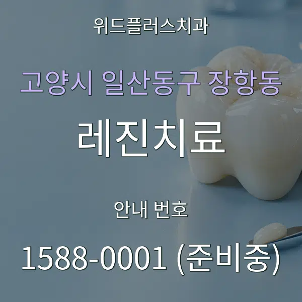 고양시 일산동구 장항동 레진치료 대표 안내 그래픽