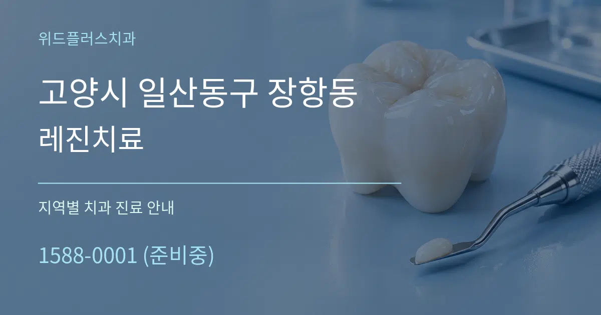 고양시 일산동구 장항동 레진치료 대표 안내 그래픽