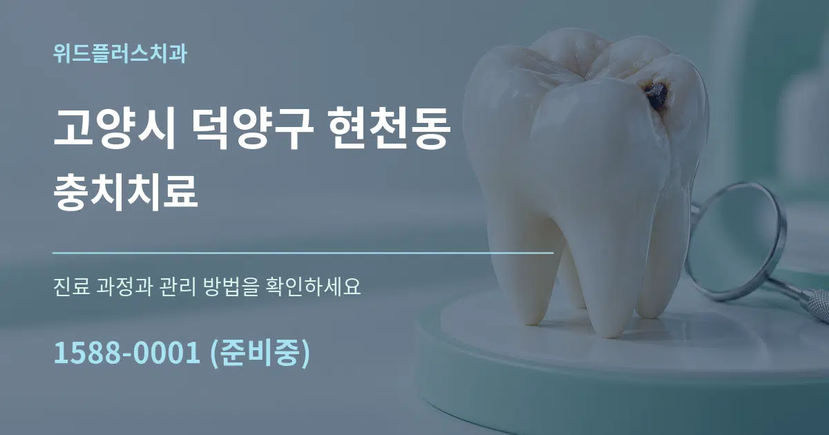 고양시 덕양구 현천동 충치치료 서비스 이용 안내 그래픽
