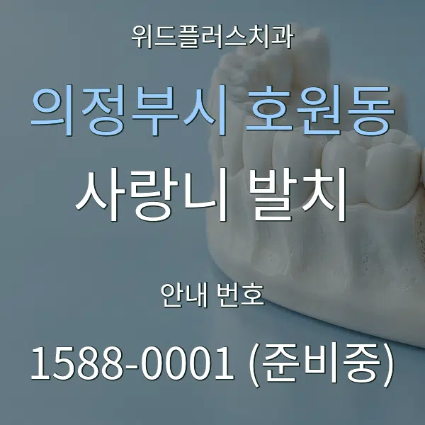 의정부시 호원동 사랑니 발치 대표 안내 그래픽