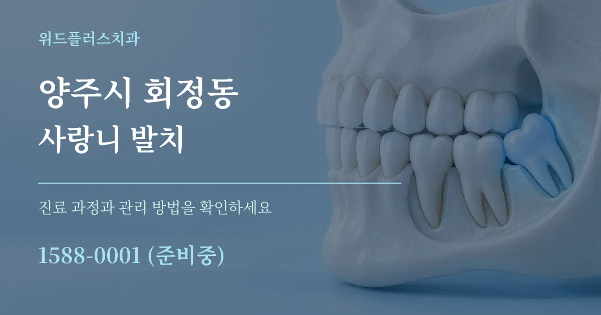 양주시 회정동 사랑니 발치 서비스 이용 안내 그래픽