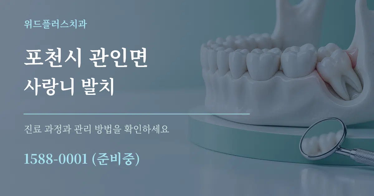 포천시 관인면 사랑니 발치 서비스 이용 안내 그래픽