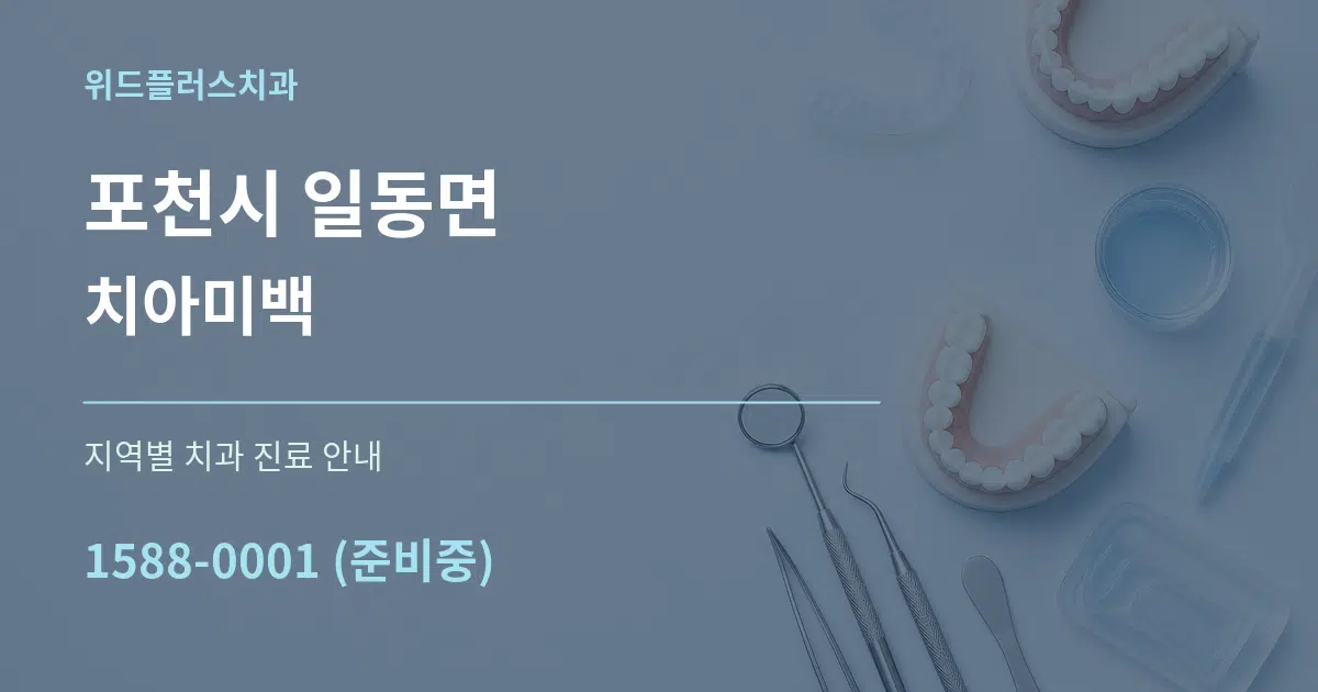 포천시 일동면 치아미백 대표 안내 그래픽